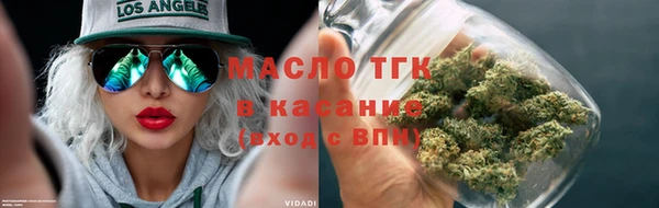 прущие грибы Горно-Алтайск