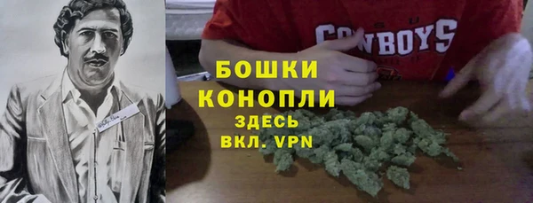 прущие грибы Горно-Алтайск
