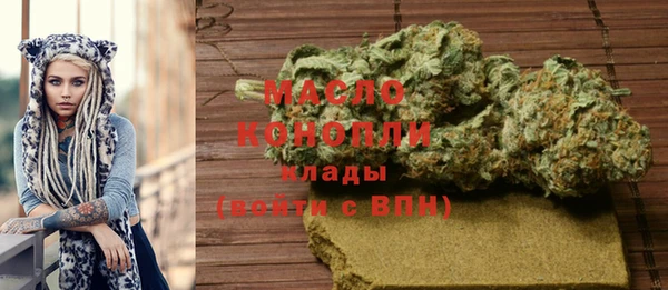 прущие грибы Горно-Алтайск