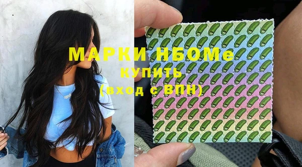 прущие грибы Горно-Алтайск