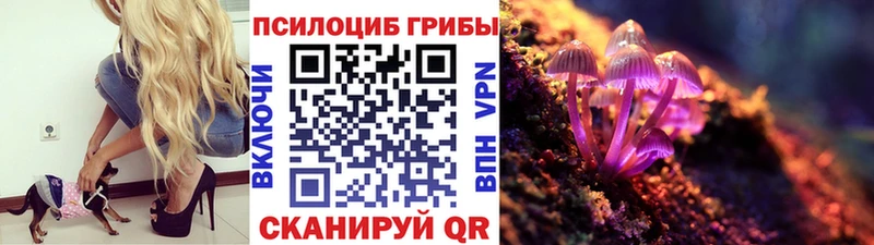 цены   Батайск  Псилоцибиновые грибы Magic Shrooms 